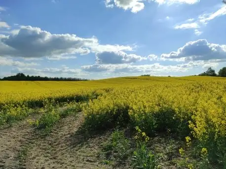 Zdjęcia: Motocyklem przez Mazury - zdjęcie 3