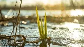Zimowa sceneria nad plażą przy jeziorze Szóstak - zdjęcie 10