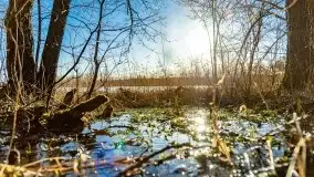 Zimowa sceneria nad plażą przy jeziorze Szóstak - zdjęcie 47