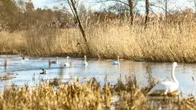 Zimowe jeziora przy Malinówce Wielkiej - zdjęcie 30