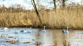 Zimowe jeziora przy Malinówce Wielkiej - zdjęcie 3