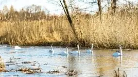 Zimowe jeziora przy Malinówce Wielkiej - zdjęcie 36