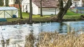 Zimowe jeziora przy Malinówce Wielkiej - zdjęcie 25