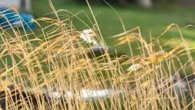 Zimowe jeziora przy Malinówce Wielkiej - zdjęcie 31