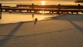 Wschód słońca nad jeziorem Niegocin w Wilkasach - zdjęcie 73