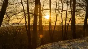 Wschód słońca nad jeziorem Niegocin w Wilkasach - zdjęcie 65