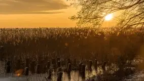 Wschód słońca nad jeziorem Niegocin w Wilkasach - zdjęcie 35