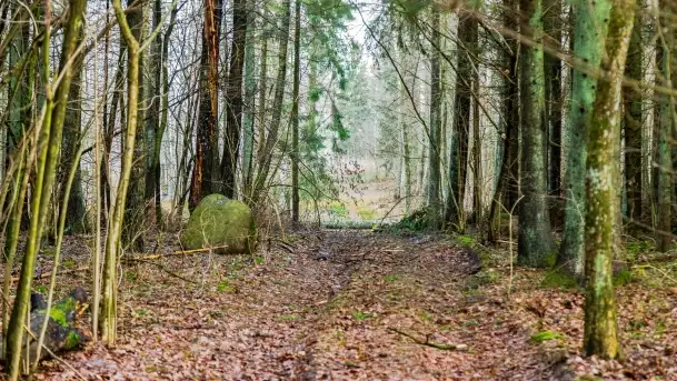 Kamienie ofiarne w okolicach jeziora Kruklin - zdjęcie 2