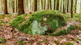 Kamienie ofiarne w okolicach jeziora Kruklin - zdjęcie 14