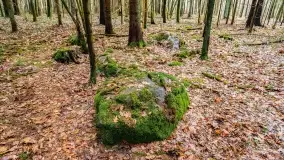 Kamienie ofiarne w okolicach jeziora Kruklin - zdjęcie 17