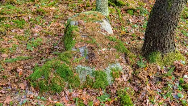 Kamienie ofiarne w okolicach jeziora Kruklin - zdjęcie 5