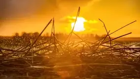 Zachód słońca nad jeziorem Niegocin, Bystry, luty 2021 - zdjęcie 47