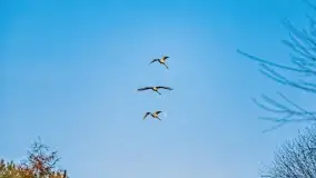 Jezioro Kisajno po zachodzie słońca, luty 2022 r. - zdjęcie 9