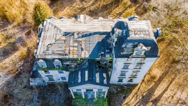 Ruiny pałacu z początku XX wieku w Notyście - zdjęcie 4