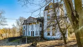 Ruiny pałacu z początku XX wieku w Notyście - zdjęcie 2