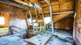 Ruiny pałacu z początku XX wieku w Notyście - zdjęcie 27