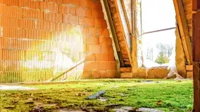 Ruiny pałacu z początku XX wieku w Notyście - zdjęcie 53