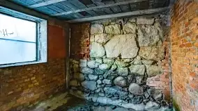 Ruiny pałacu z początku XX wieku w Notyście - zdjęcie 39