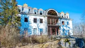 Ruiny pałacu z początku XX wieku w Notyście - zdjęcie 33