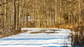 Zimowe migawki z puszczy Boreckiej, luty 2022 r. - zdjęcie 16