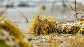 Zimowe migawki z puszczy Boreckiej, luty 2022 r. - zdjęcie 19