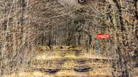 Rezerwat Sztynort u progu wiosny 2022 r. - zdjęcie 2