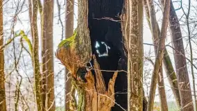 Rezerwat Sztynort u progu wiosny 2022 r. - zdjęcie 25