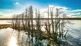 Jezioro Kirsajty i przedwiośnie - zdjęcie 46