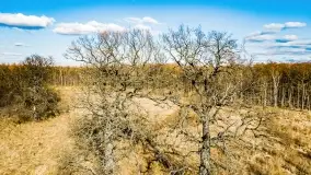 Jezioro Kirsajty i przedwiośnie - zdjęcie 7