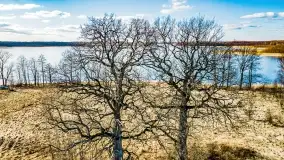 Jezioro Kirsajty i przedwiośnie - zdjęcie 52