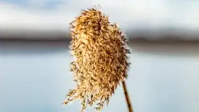 Jezioro Kirsajty i przedwiośnie - zdjęcie 47