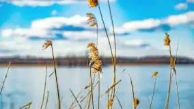 Jezioro Kirsajty i przedwiośnie - zdjęcie 59