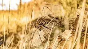 Jezioro Kirsajty i przedwiośnie - zdjęcie 18