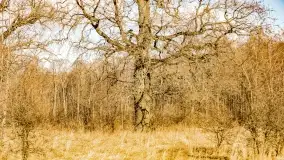 Jezioro Kirsajty i przedwiośnie - zdjęcie 28