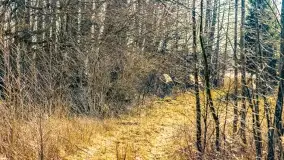 Jezioro Kirsajty i przedwiośnie - zdjęcie 34