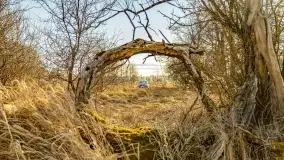 Jezioro Kirsajty i przedwiośnie - zdjęcie 44