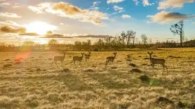 Zachód słońca nad jeziorem Tałty i kanałem Tałckim - zdjęcie 50