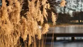 Zachód słońca nad jeziorem Harsz w Harszu - zdjęcie 3