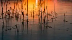 Marcowy zachód słońca nad jeziorem Kisajno - zdjęcie 25