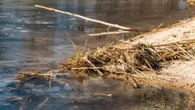 Przedwiośnie w porcie Nowy Harsz nad jeziorem Dargin - zdjęcie 21