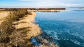 Jezioro Dobskie w okolicach Dziewiszewa, wyspa Gilma - zdjęcie 10