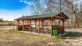 Jezioro Dobskie w okolicach Dziewiszewa, wyspa Gilma - zdjęcie 6