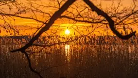 Zachód słońca nad jeziorem Dobskim, marzec 2022 r. - zdjęcie 36