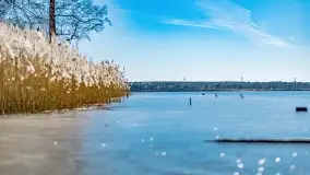 Przedwiośnie w Ełku, marzec 2022 r. - zdjęcie 43