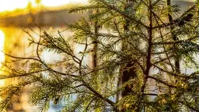 Zachód słońca nad jeziorem Krzywa Kuta - zdjęcie 20