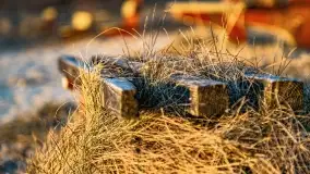 Zachód słońca nad jeziorem Tajty w Wilkasy Zalesie - zdjęcie 18