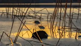 Zachód słońca nad jeziorem Tajty w Wilkasy Zalesie - zdjęcie 16