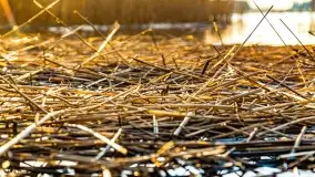 Zachód słońca nad jeziorem Mój - zdjęcie 52