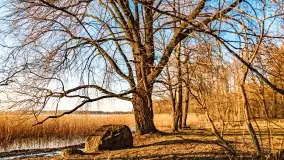 Zachód słońca nad jeziorem Mój - zdjęcie 26