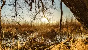 Zachód słońca nad jeziorem Mój - zdjęcie 15